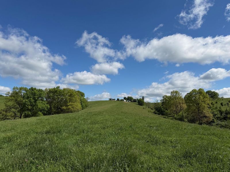 20.99 Ac Chipman Ridge Road, Williamstown, KY 41097 Photo 15
