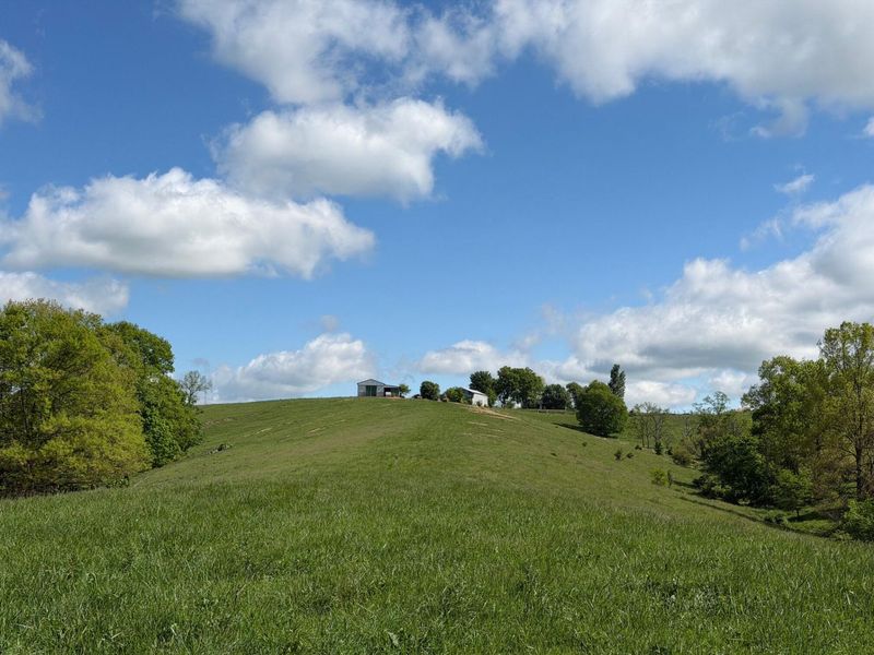 20.99 Ac Chipman Ridge Road, Williamstown, KY 41097 Photo 16