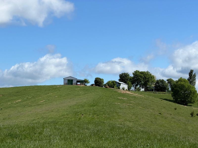 20.99 Ac Chipman Ridge Road, Williamstown, KY 41097 Photo 17