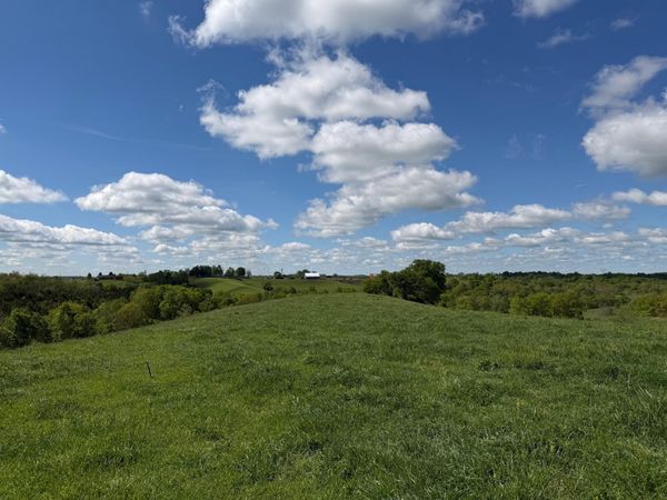 24.81 Ac Chipman Ridge Road, Williamstown, KY 41097