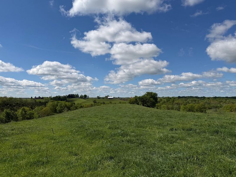 24.81 Ac Chipman Ridge Road, Williamstown, KY 41097 Photo 1