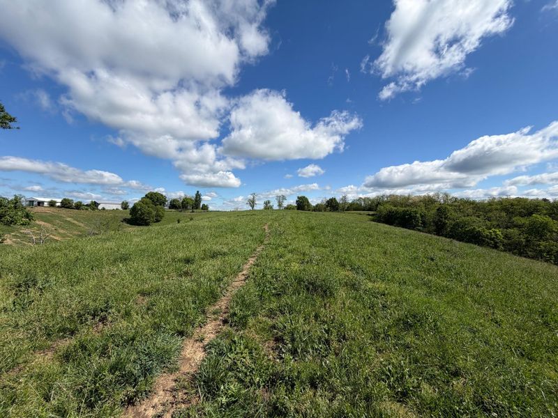 24.81 Ac Chipman Ridge Road, Williamstown, KY 41097 Photo 10