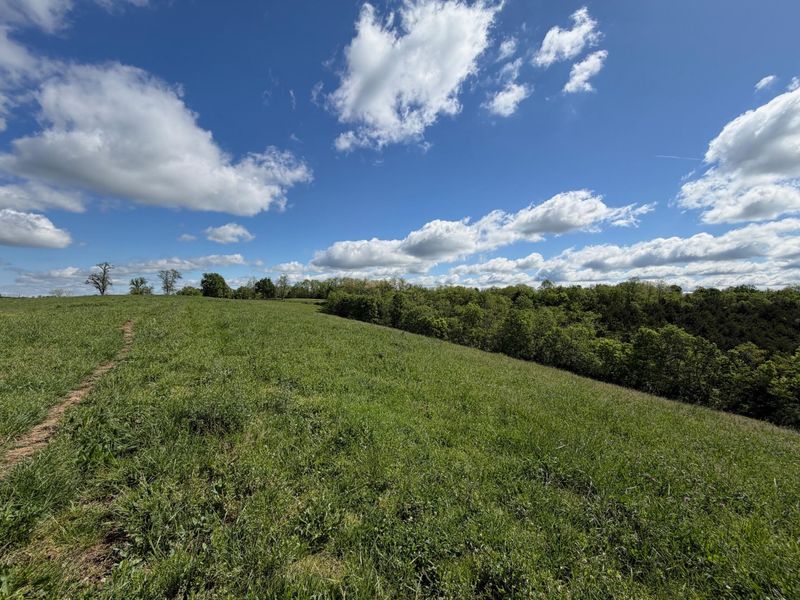 24.81 Ac Chipman Ridge Road, Williamstown, KY 41097 Photo 11