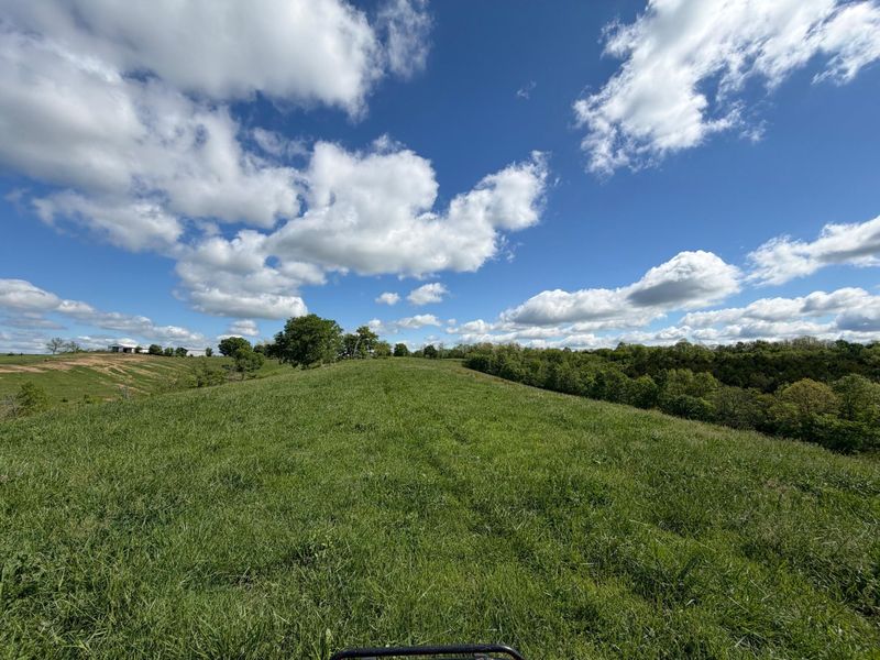 24.81 Ac Chipman Ridge Road, Williamstown, KY 41097 Photo 12