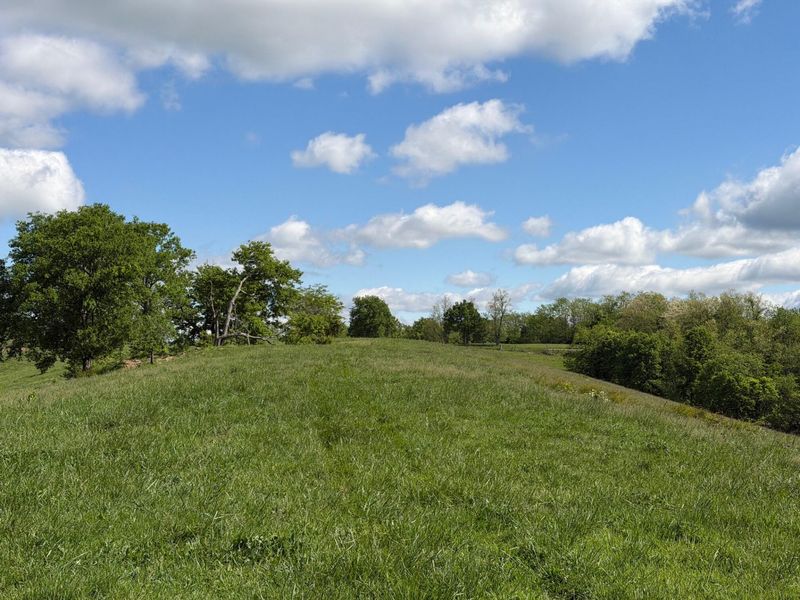 24.81 Ac Chipman Ridge Road, Williamstown, KY 41097 Photo 13