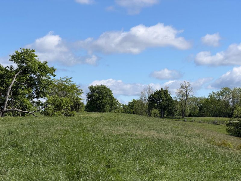 24.81 Ac Chipman Ridge Road, Williamstown, KY 41097 Photo 14