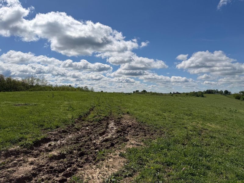 24.81 Ac Chipman Ridge Road, Williamstown, KY 41097 Photo 15