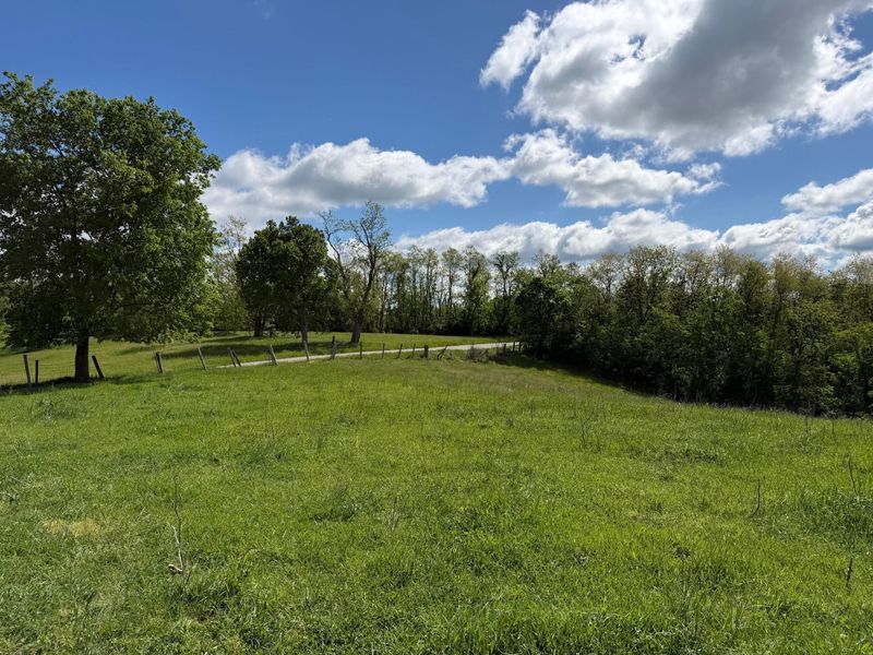 24.81 Ac Chipman Ridge Road, Williamstown, KY 41097 Photo 2