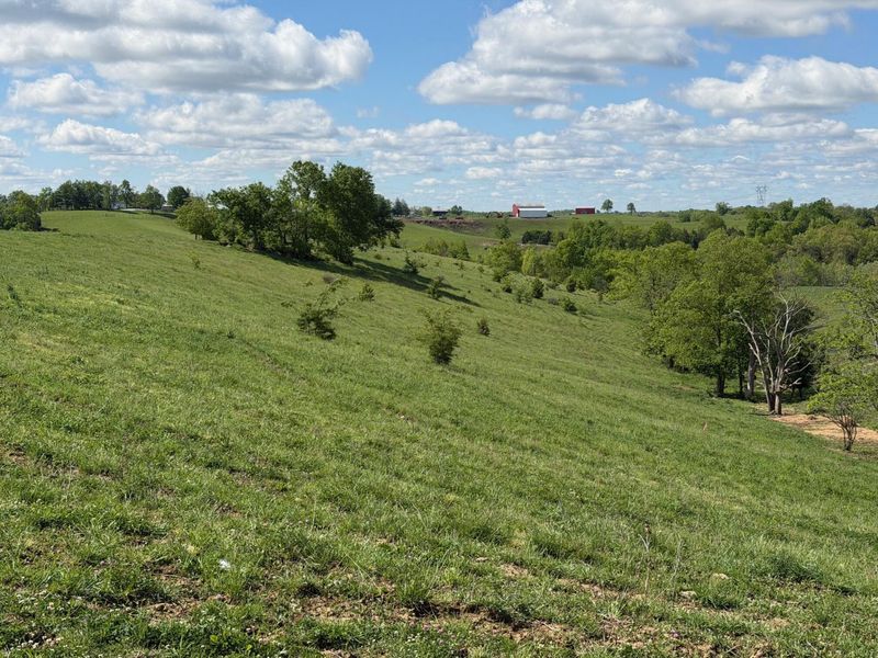 24.81 Ac Chipman Ridge Road, Williamstown, KY 41097 Photo 3