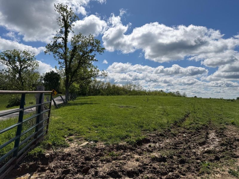 24.81 Ac Chipman Ridge Road, Williamstown, KY 41097 Photo 4