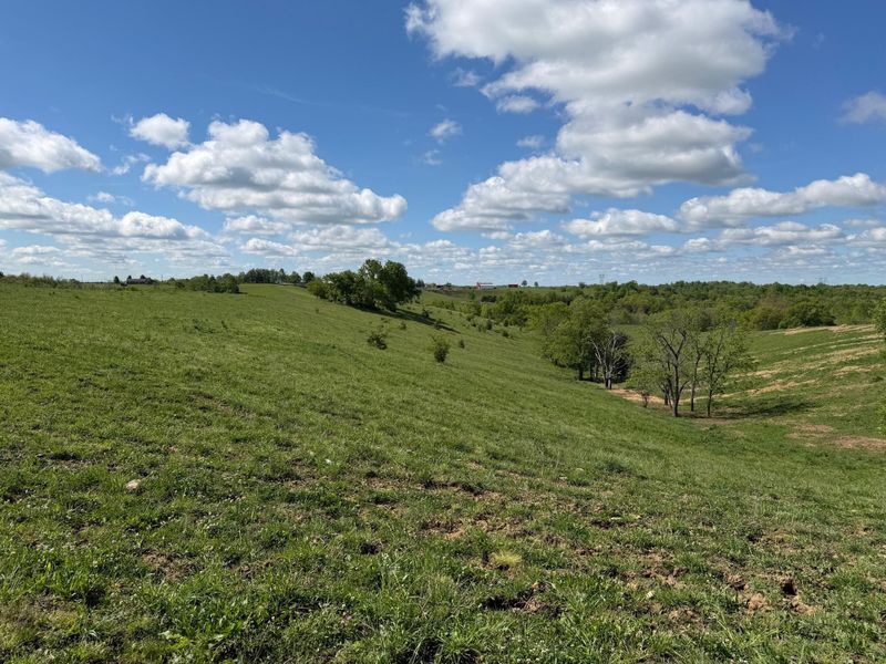 24.81 Ac Chipman Ridge Road, Williamstown, KY 41097 Photo 5