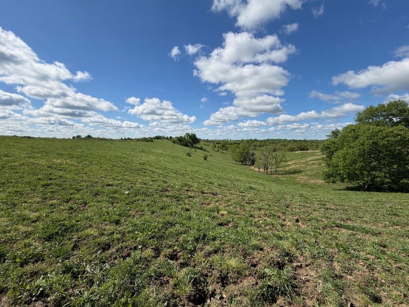 24.81 Ac Chipman Ridge Road, Williamstown, KY 41097 Photo 6