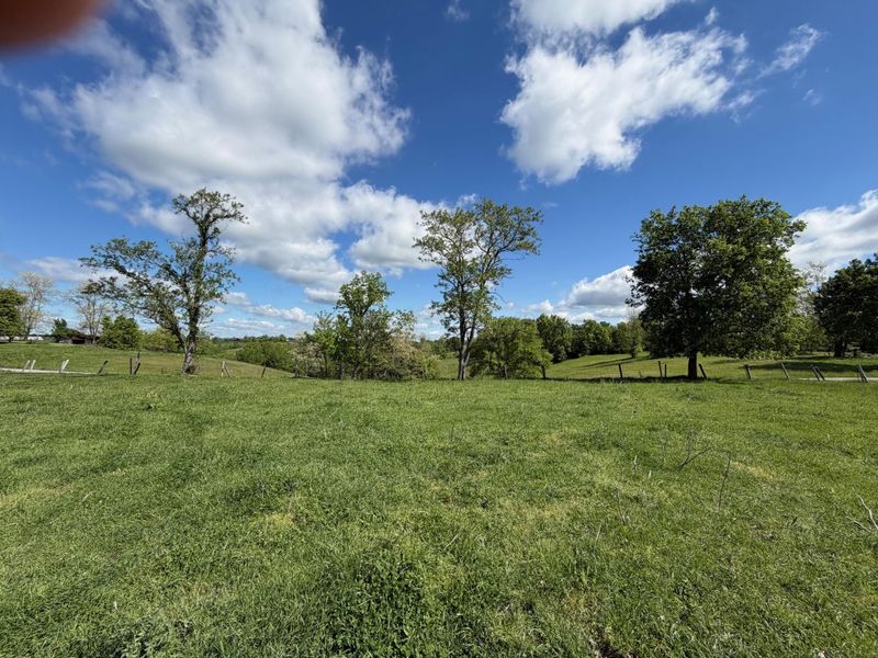 24.81 Ac Chipman Ridge Road, Williamstown, KY 41097 Photo 7