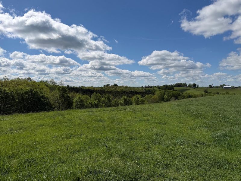 24.81 Ac Chipman Ridge Road, Williamstown, KY 41097 Photo 8
