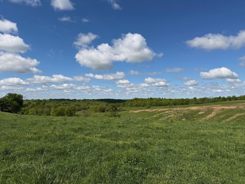 24.81 Ac Chipman Ridge Road, Williamstown, KY 41097 Photo 9