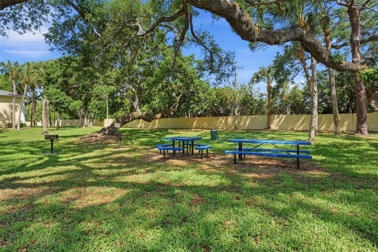 3001 58th Avenue S, Unit 1005, Saint Petersburg, FL 33712 Photo