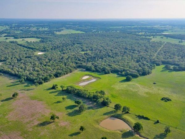 2095 County Road 442 , Thorndale, TX 76578