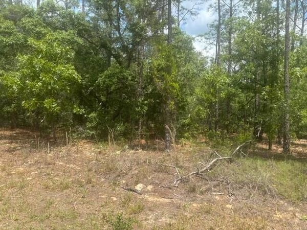 8593 N Bambury Terrace, Citrus Springs, FL 34434