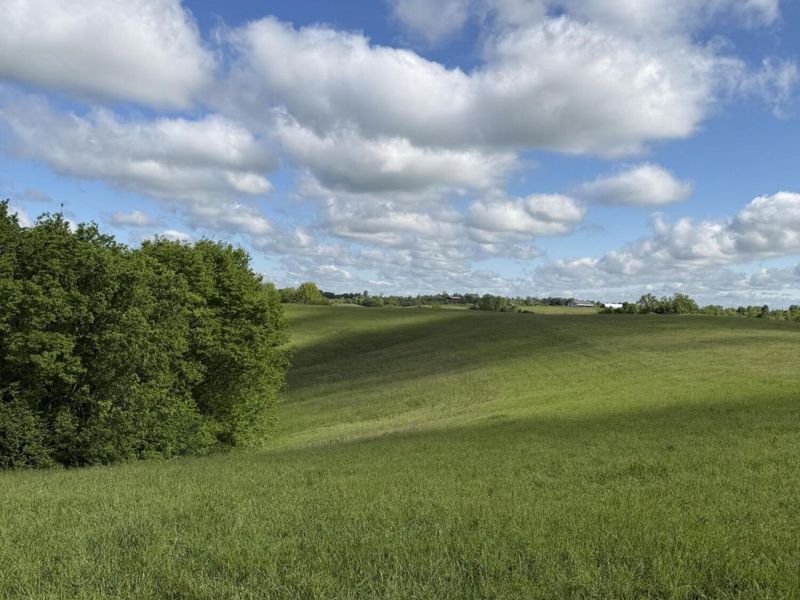 5.11 Ac Chipman Ridge Road, Williamstown, KY 41097 Photo 2
