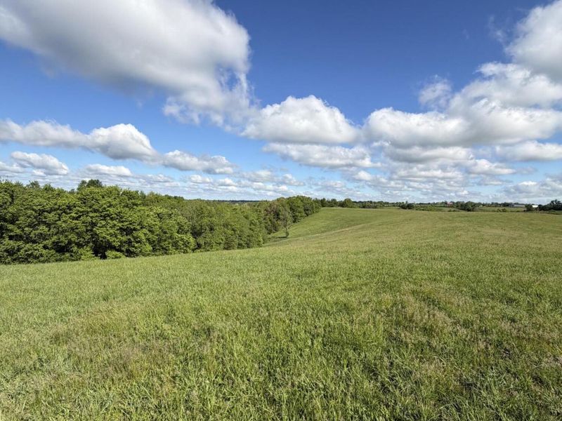 5.11 Ac Chipman Ridge Road, Williamstown, KY 41097 Photo 3
