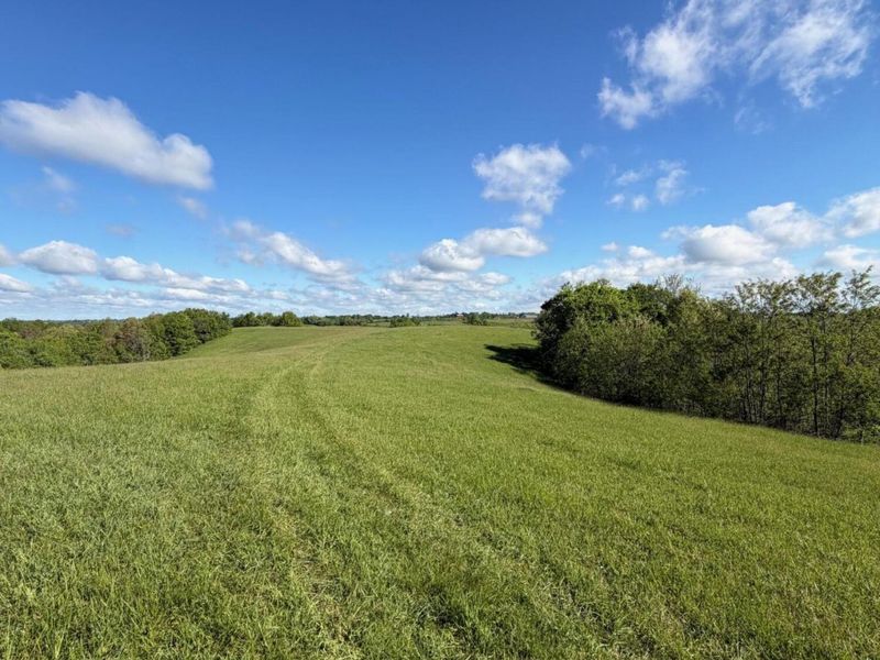 32.28 Ac Chipman Ridge Road, Williamstown, KY 41097 Photo 1