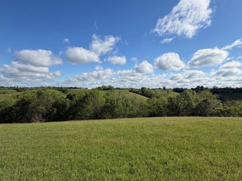 32.28 Ac Chipman Ridge Road, Williamstown, KY 41097 Photo 10