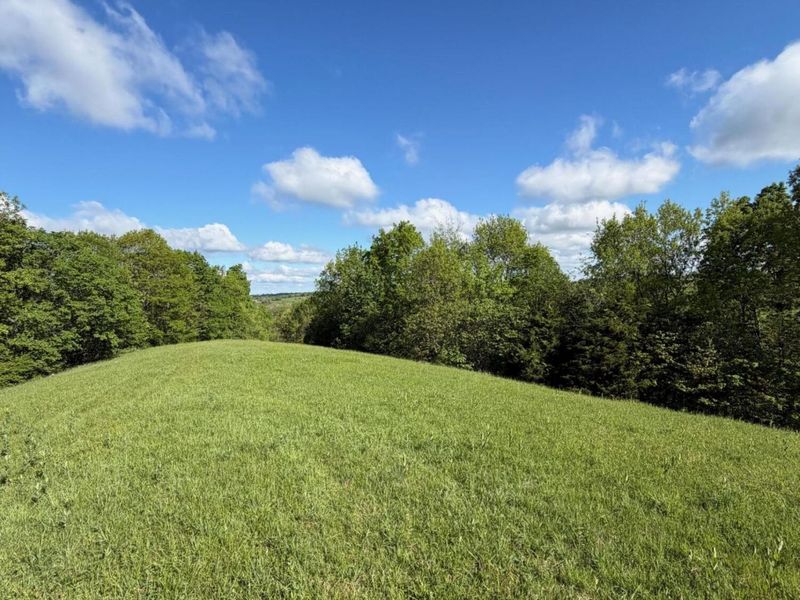 32.28 Ac Chipman Ridge Road, Williamstown, KY 41097 Photo 11