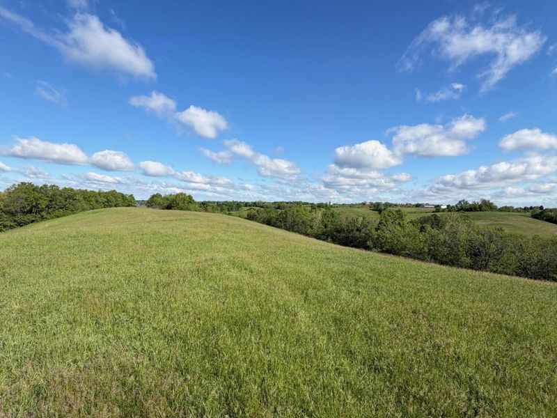 32.28 Ac Chipman Ridge Road, Williamstown, KY 41097 Photo 3