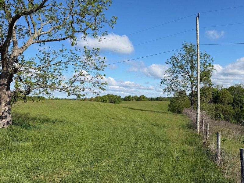 32.28 Ac Chipman Ridge Road, Williamstown, KY 41097 Photo 5