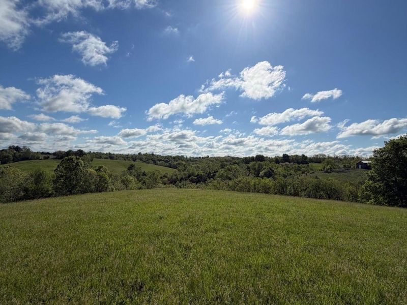 32.28 Ac Chipman Ridge Road, Williamstown, KY 41097 Photo 6