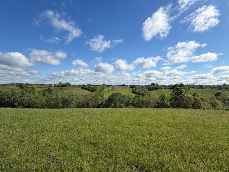 32.28 Ac Chipman Ridge Road, Williamstown, KY 41097 Photo 7