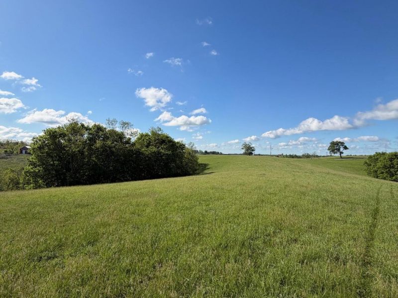 32.28 Ac Chipman Ridge Road, Williamstown, KY 41097 Photo 8