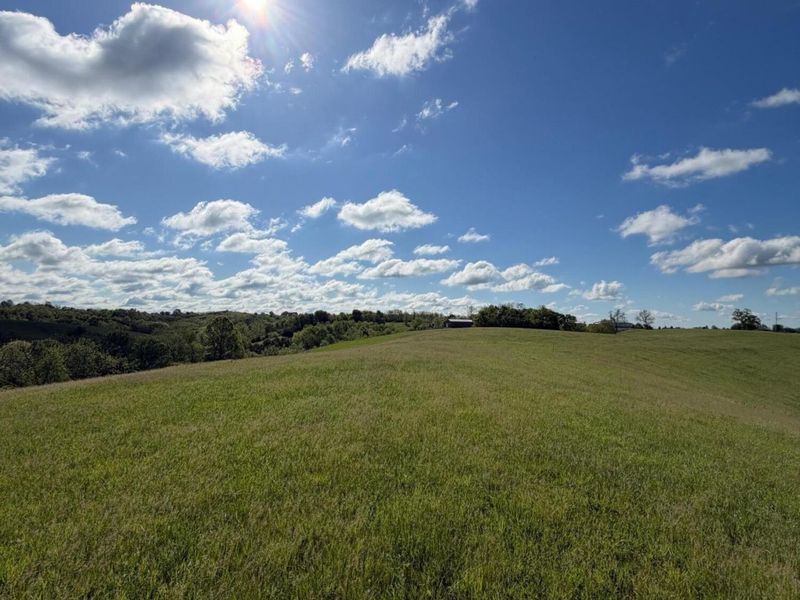 32.28 Ac Chipman Ridge Road, Williamstown, KY 41097 Photo 9