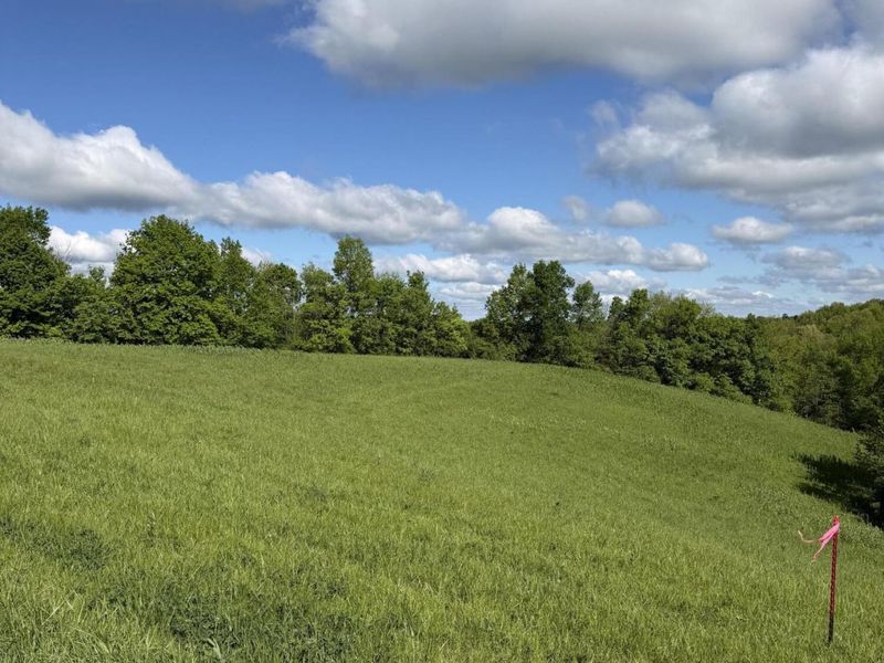 5.28 Ac Chipman Ridge Road, Williamstown, KY 41097 Photo 2