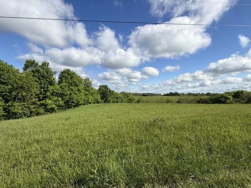 5.28 Ac Chipman Ridge Road, Williamstown, KY 41097 Photo 3