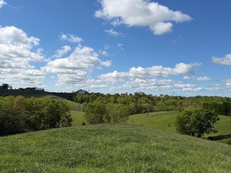 6.93 Ac Chipman Ridge Road, Williamstown, KY 41097 Photo 2