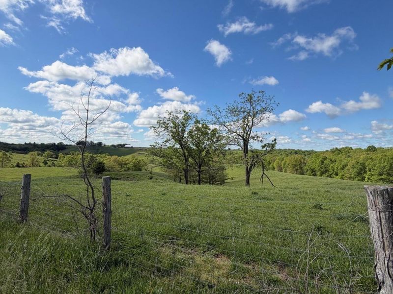 6.93 Ac Chipman Ridge Road, Williamstown, KY 41097 Photo 5