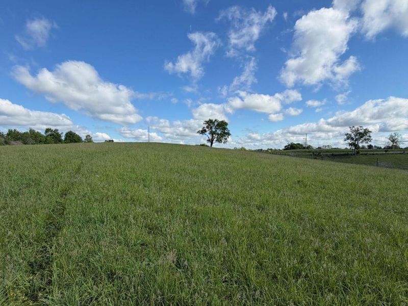 6.93 Ac Chipman Ridge Road, Williamstown, KY 41097 Photo 6