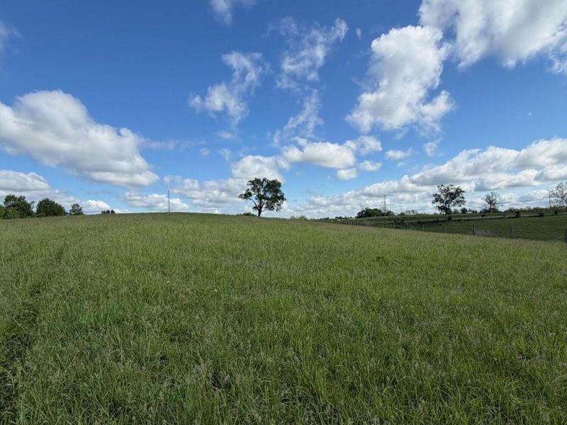 6.93 Ac Chipman Ridge Road, Williamstown, KY 41097 Photo 7