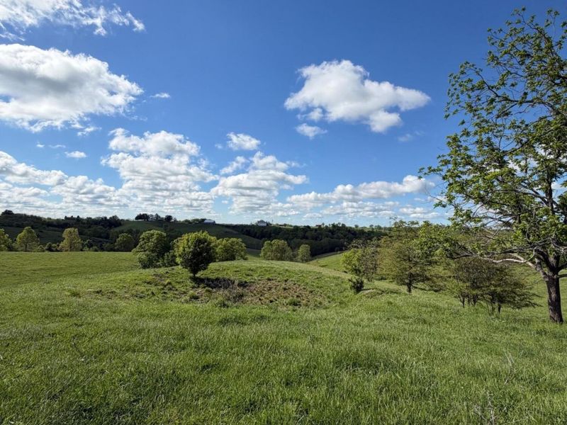 6.93 Ac Chipman Ridge Road, Williamstown, KY 41097 Photo 8