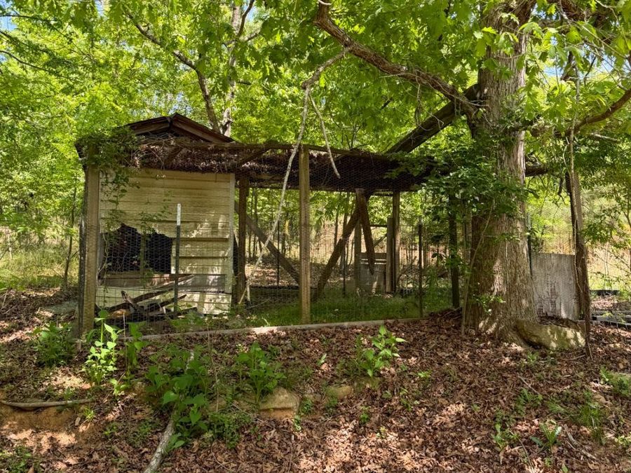 Property Image 47