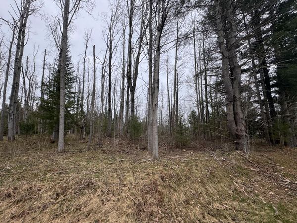 6809 Needles Road, Indian River, MI 49749