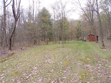 Clair Carrier Road, Friendship, NY 14739