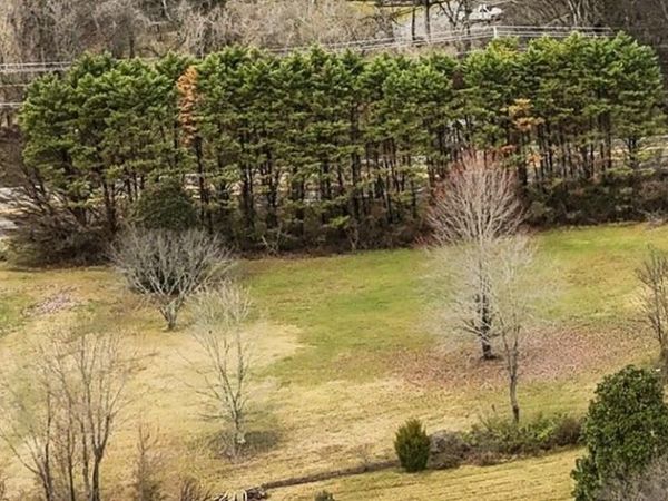 5601 Barineau Lane, Knoxville, TN 37920