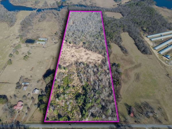 40acs County Road 322, Henagar, AL 35978