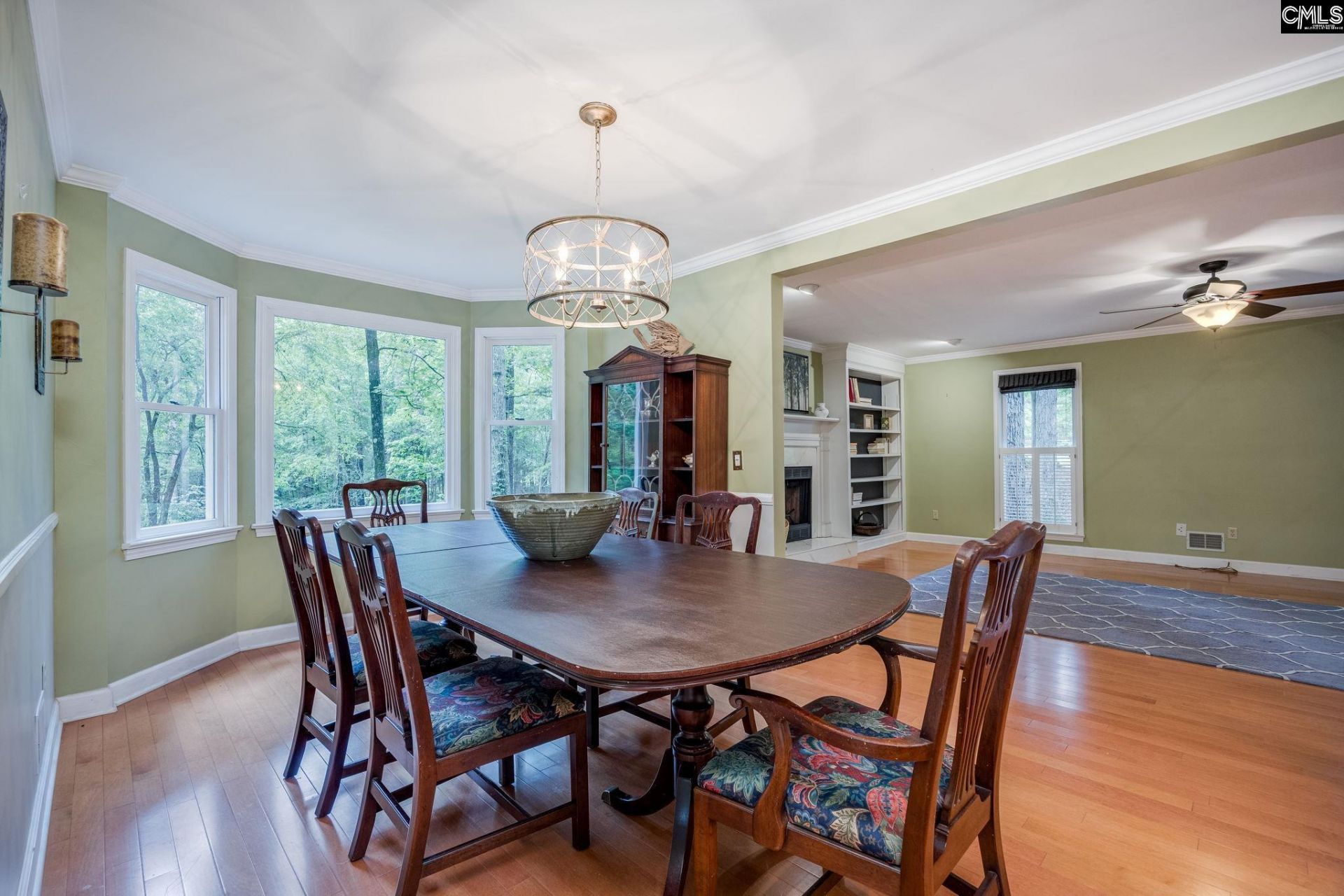151 Eagle Chase Court  Photo 19