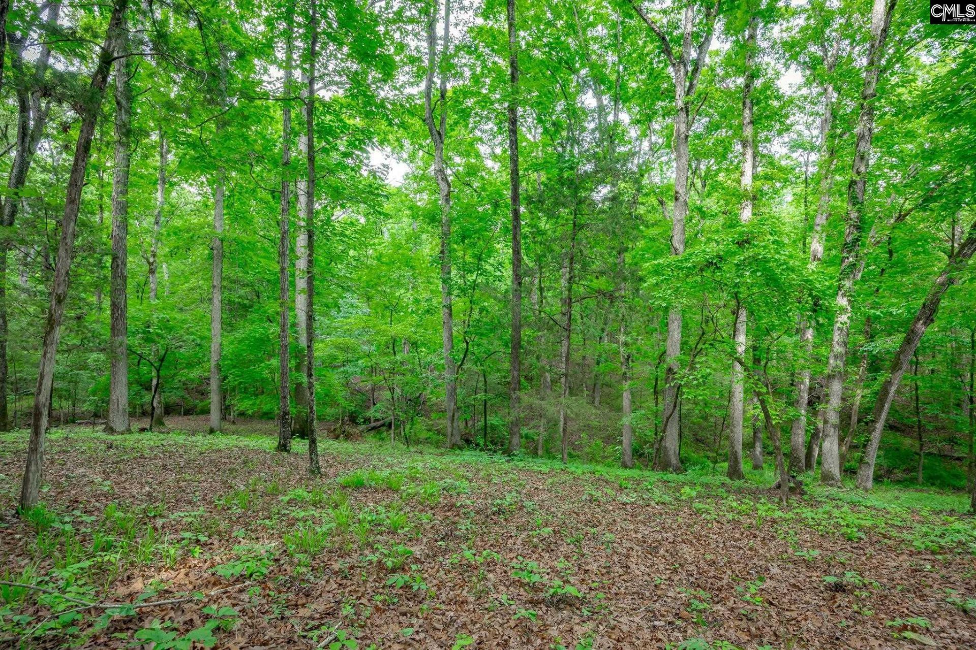 151 Eagle Chase Court  Photo 62