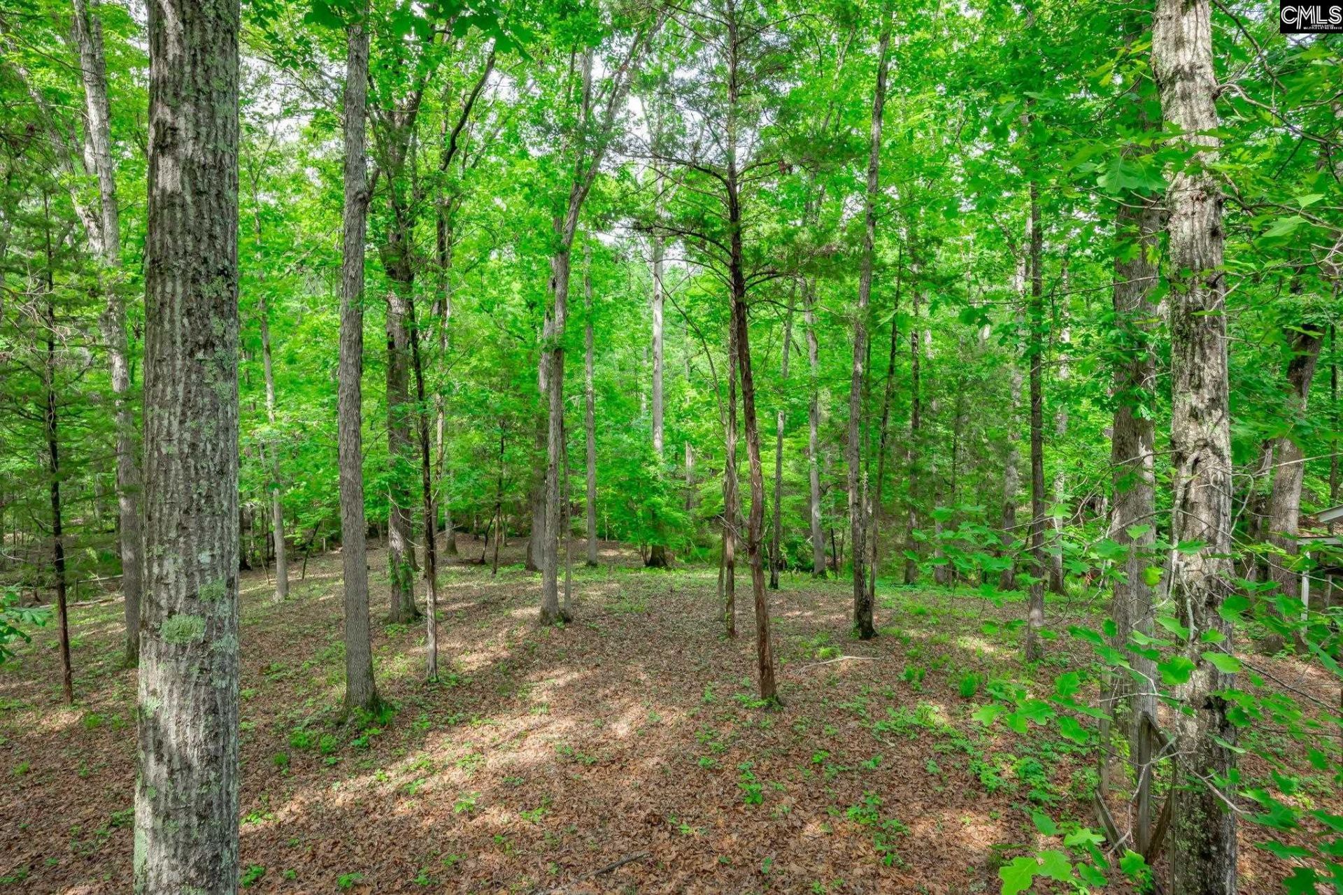 151 Eagle Chase Court  Photo 63