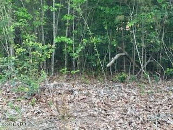 125 Mockingbird Lane, Hollister, NC 27844