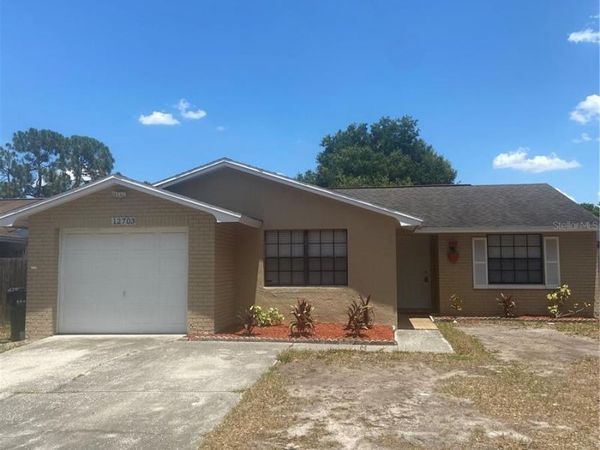 12703 ALIDA PLACE , TAMPA, FL 33625